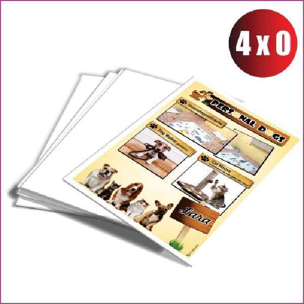 FLYERS 4X0 150G 20x30CM